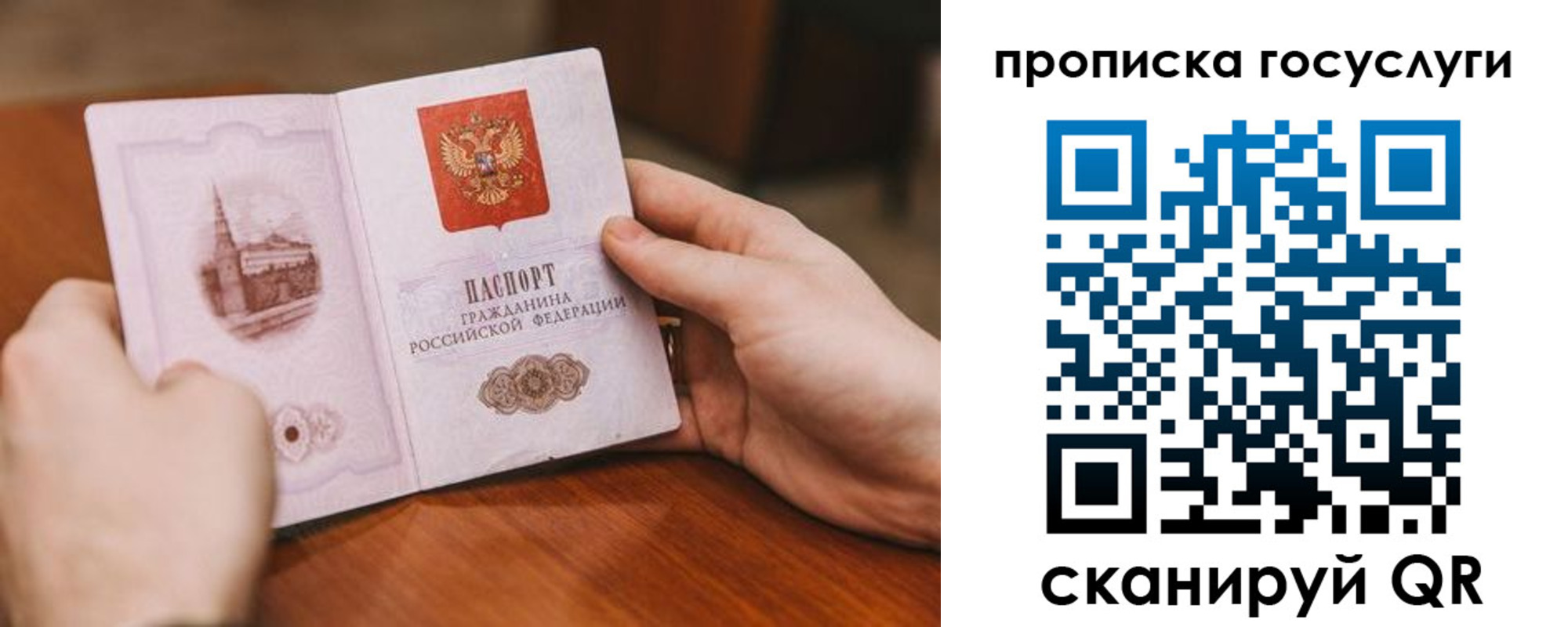 прописка ребенка в Шебекино
